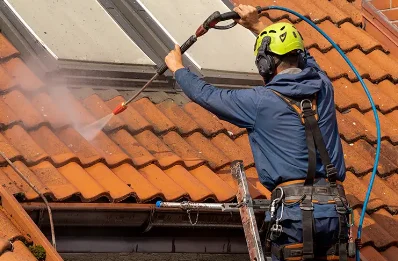 Démoussage et hydrofuge de toiture à Saléchan